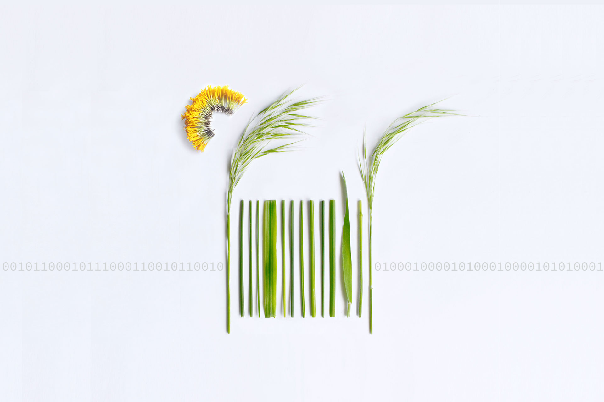 The Sustainability Thread