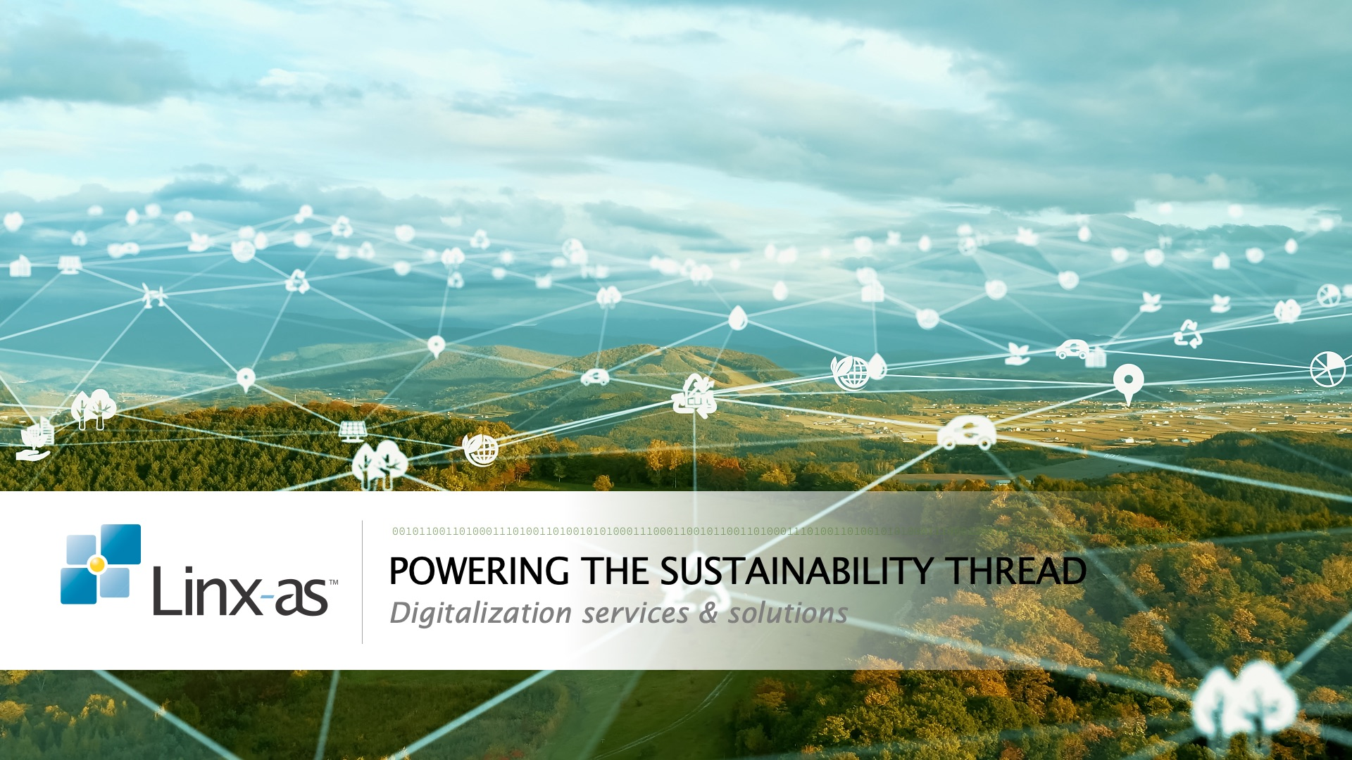 Sustainability Consulting Practice